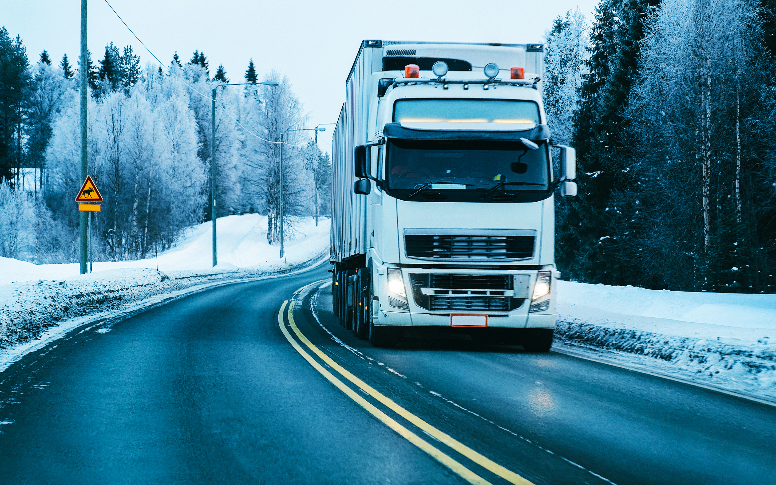 Frigo Taşımacılığı Detay